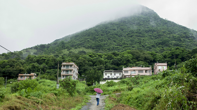 馬鞍山梅子林及大嶼山南岸被列為「受規(guī)管地區(qū)」 涉及659公頃土地