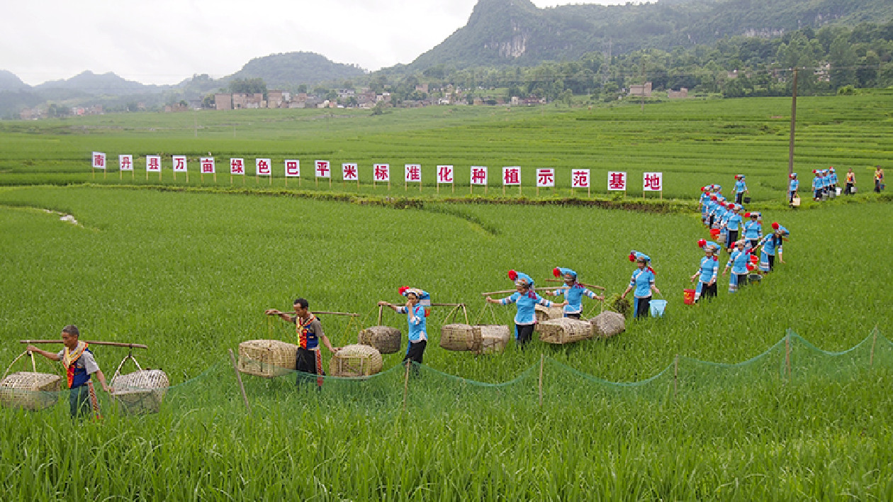 桂6家企業(yè)入選首批國家現(xiàn)代農(nóng)業(yè)全產(chǎn)業(yè)鏈標準化示範基地創(chuàng)建單位