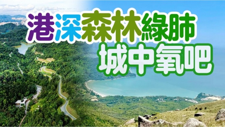 九九重陽節(jié)，快帶上父母來場港深登高之旅吧……