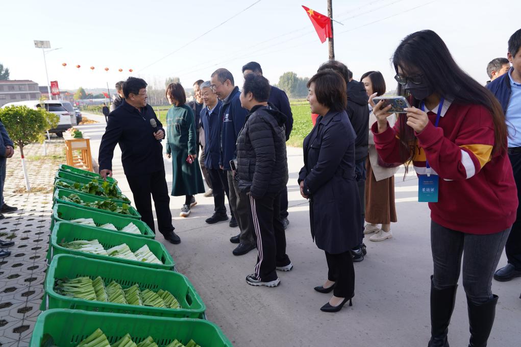 粵港澳大灣區(qū)主流媒體走進(jìn)山西臨汾：「廣州菜心」成採(cǎi)訪亮點(diǎn)