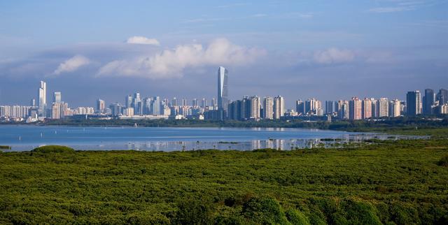 馬海鵬：深圳生態(tài)保護(hù)實(shí)踐十分超前