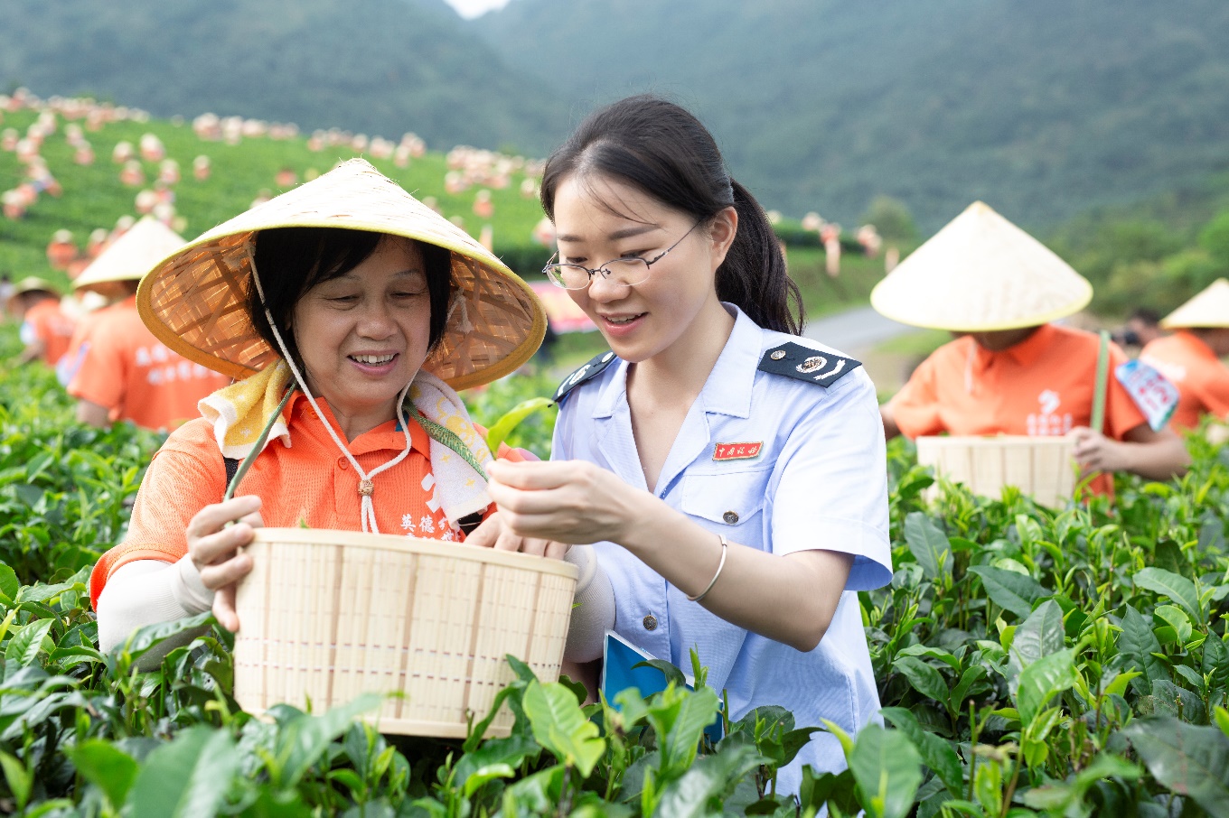 稅惠守護(hù)「家鄉(xiāng)味」 廣東現(xiàn)代農(nóng)業(yè)與食品產(chǎn)業(yè)煥發(fā)更強(qiáng)「食力」