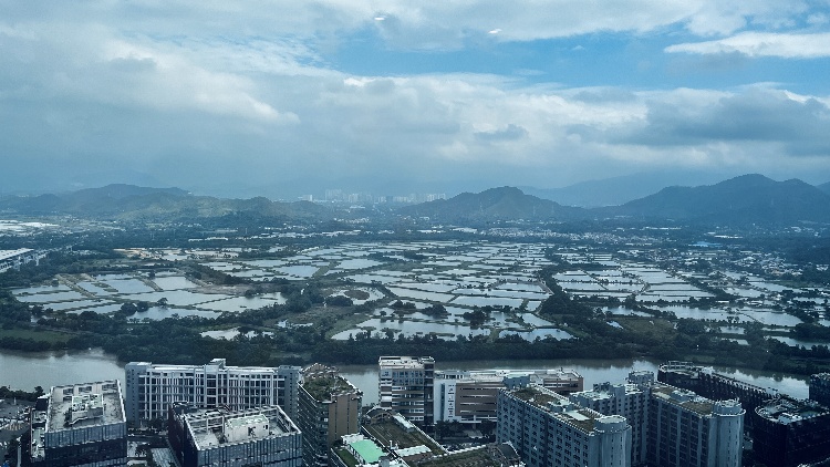 深圳空氣質量穩(wěn)居全國超大城市第一