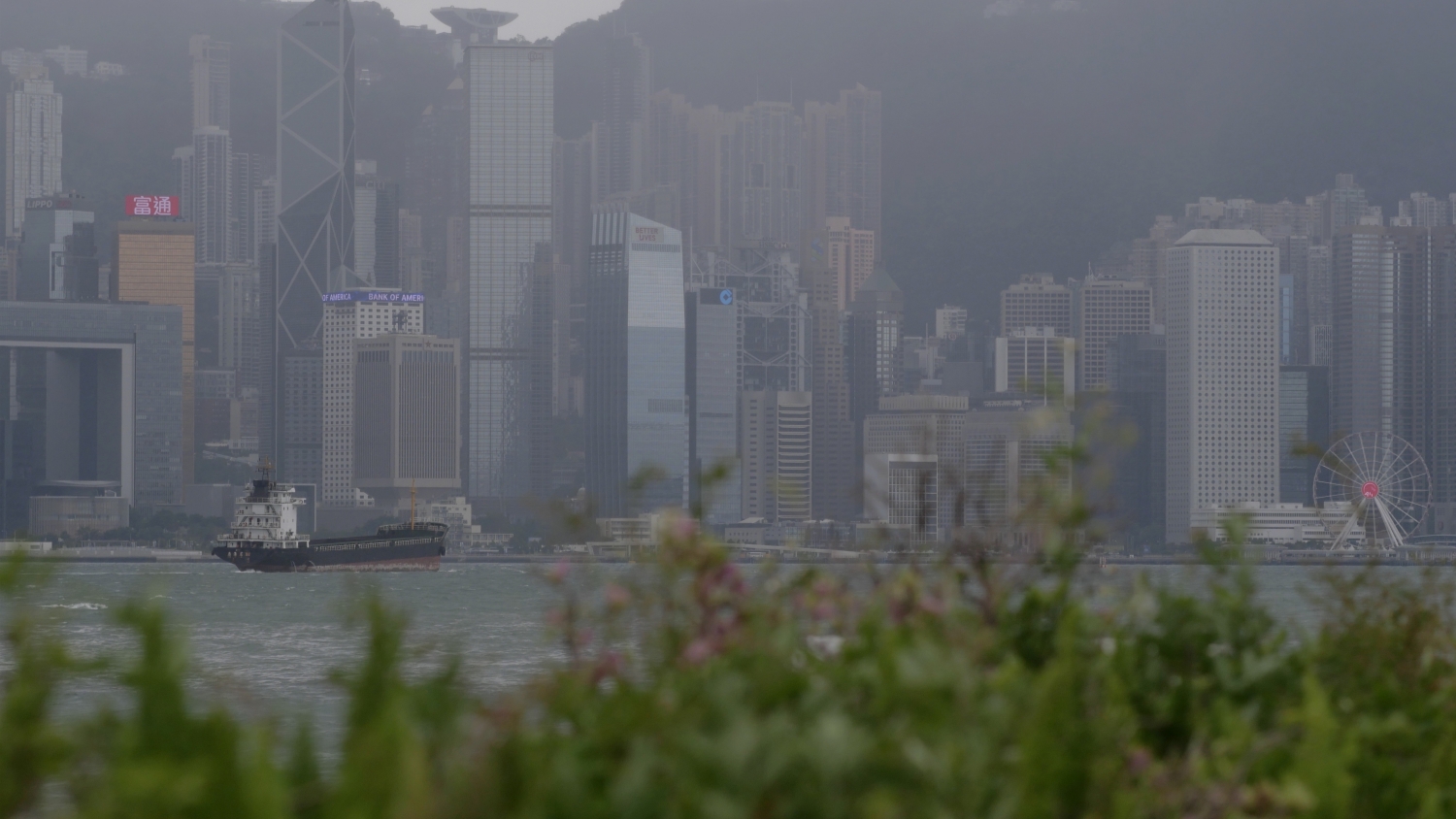 健康空氣行動：空氣污染水平在通關(guān)復(fù)常下反彈回升