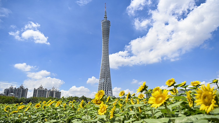 廣東擬打造綠美廣東生態(tài)建設示範帶