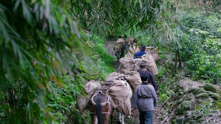 臺灣茶人在茶馬古道探尋中華文脈