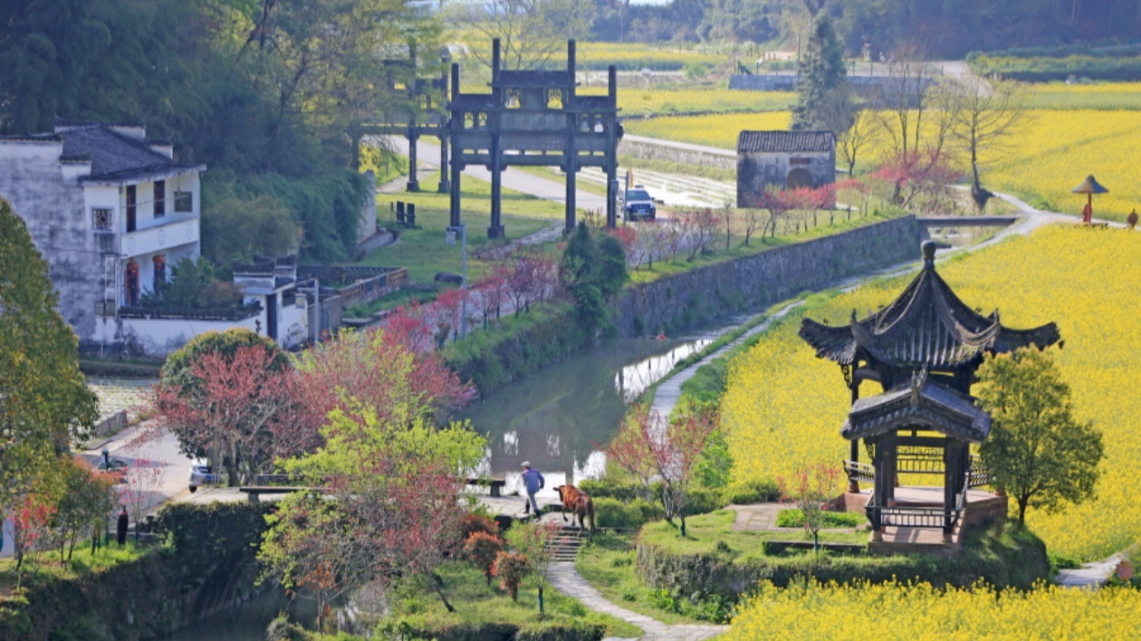 【康養(yǎng)中國】康養(yǎng)「藍?！挂冒拈T客商青睞   皖徽州區(qū)擦亮潛口康養(yǎng)小鎮(zhèn)品牌