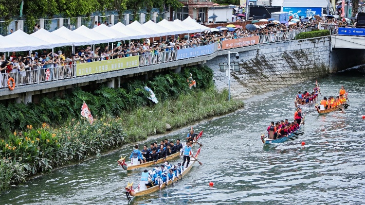 龍騰灣區(qū) 夏日狂潮 粵港澳龍舟賽在深圳福田成功舉行