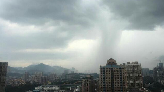 深圳分區(qū)暴雨橙色預警信號生效中！