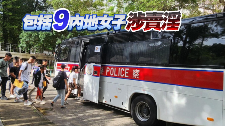 新界南反黑工行動(dòng) 拘捕31人