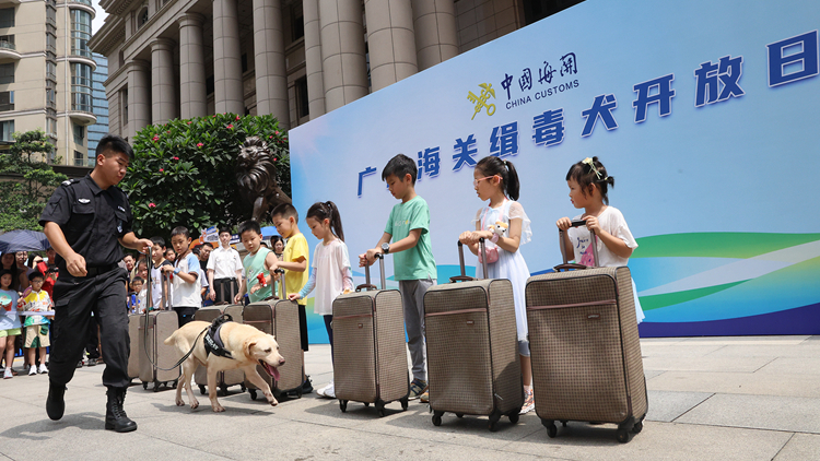 「汪汪隊(duì)」上崗  廣州海關(guān)舉辦「緝毒犬開放日」活動(dòng)