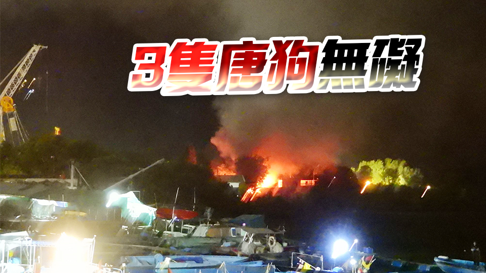 突發(fā)丨東涌狗場火場 5貓陷火海死亡