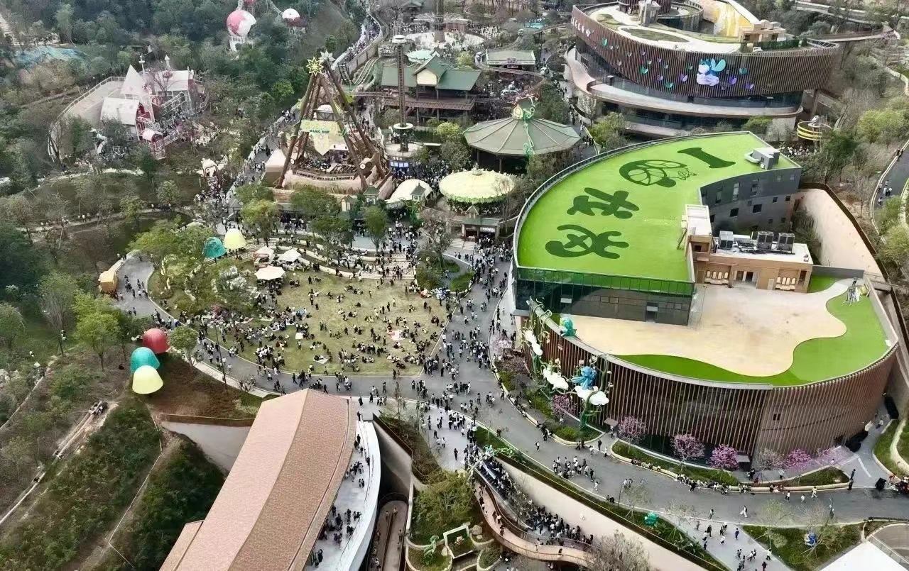 企鵝「空降」龍崗兒童公園 「萌寵樂園」治癒又解壓