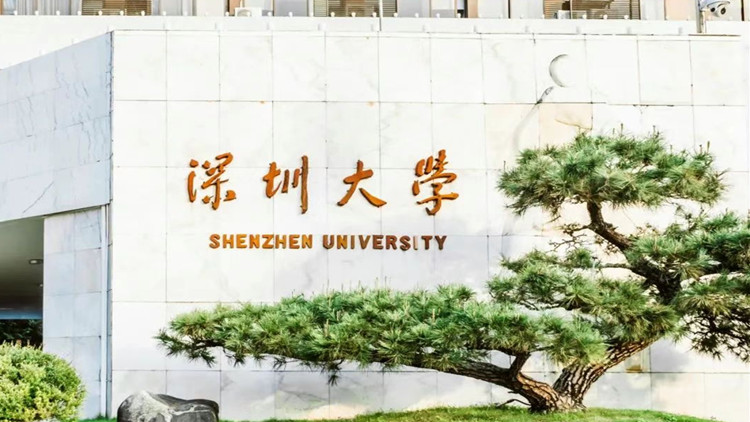 深圳大學(xué)2024年廣東投檔線公布