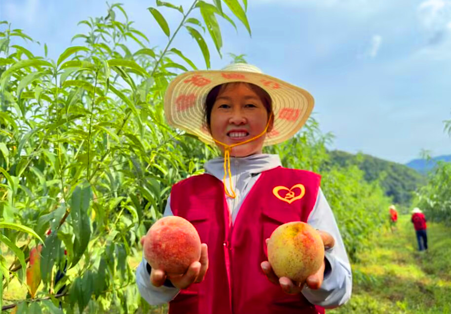 打造多元的特色產業(yè)  皖黟縣持續(xù)發(fā)力強化產業(yè)幫扶