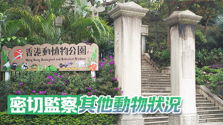 香港動(dòng)植物公園8隻猴子同日死亡 14日起暫停開放園內(nèi)哺乳類動(dòng)物區(qū)