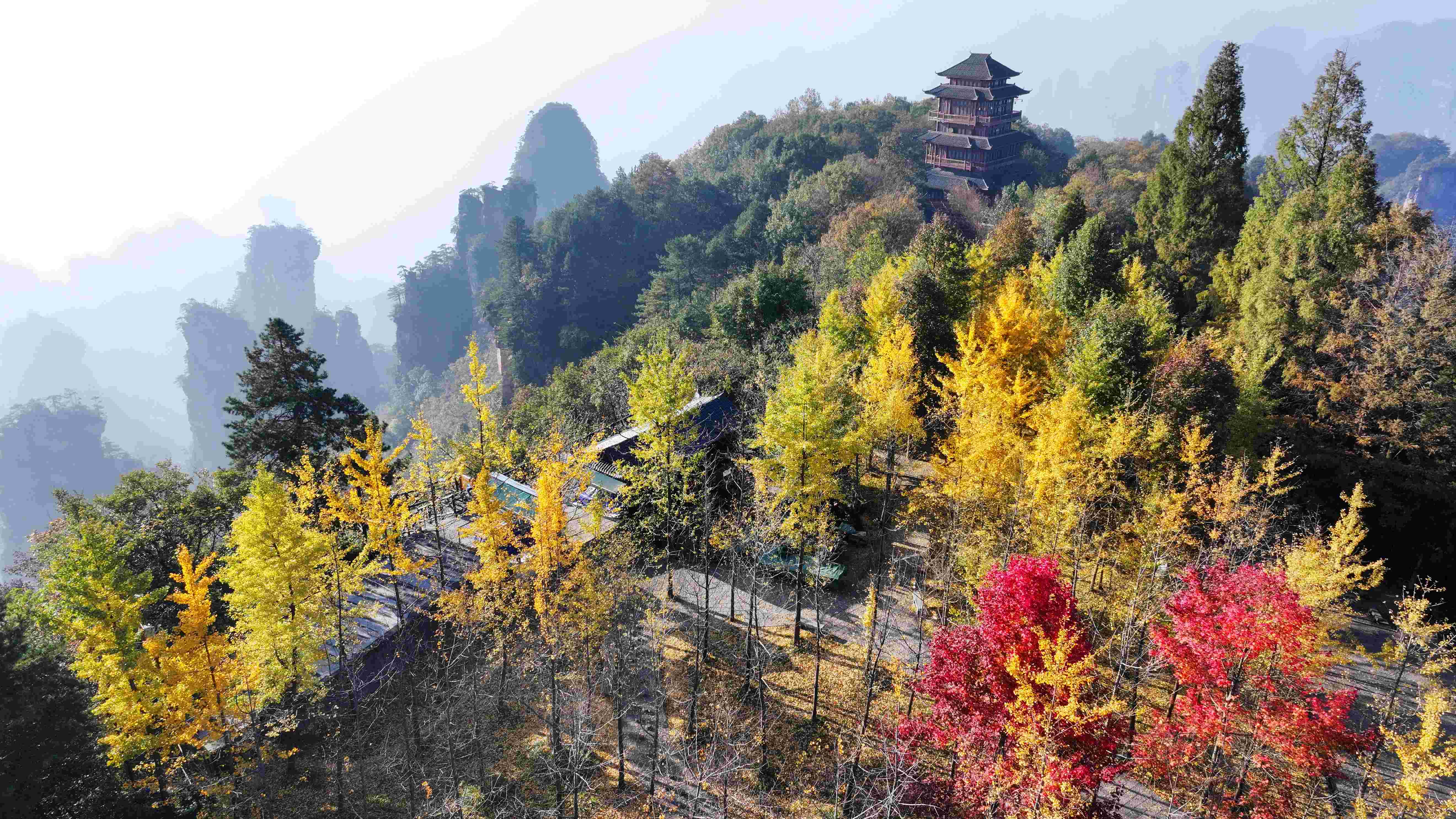 張家界天子山景區(qū)絢麗秋景醉遊人