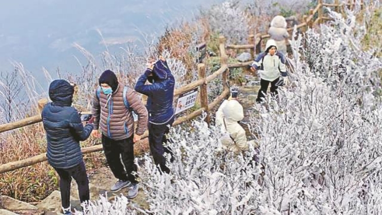 廣東最低氣溫跌破0℃ 粵北山區(qū)現冰掛霧凇