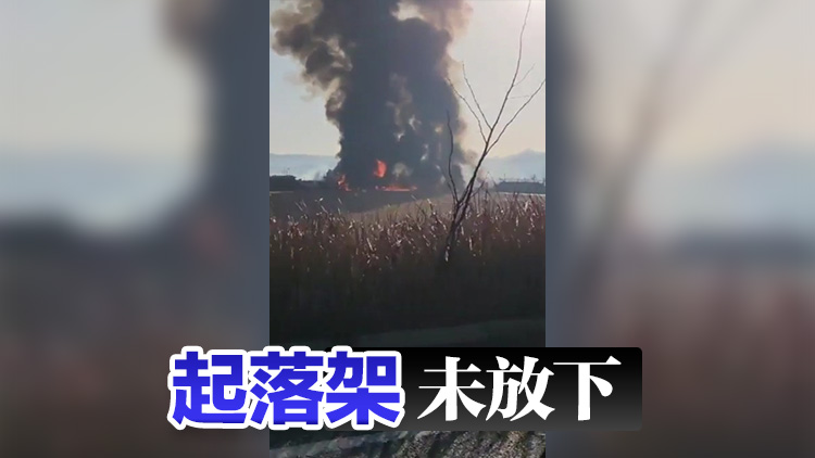 追蹤報道 | 韓國客機(jī)撞牆起火事故已致28人死亡 客機(jī)疑似撞鳥