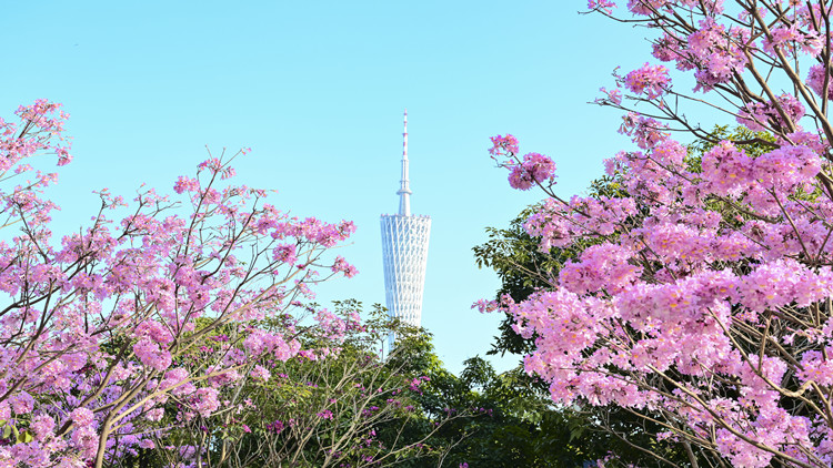 廣州地區(qū)啟動「科匯通」試點