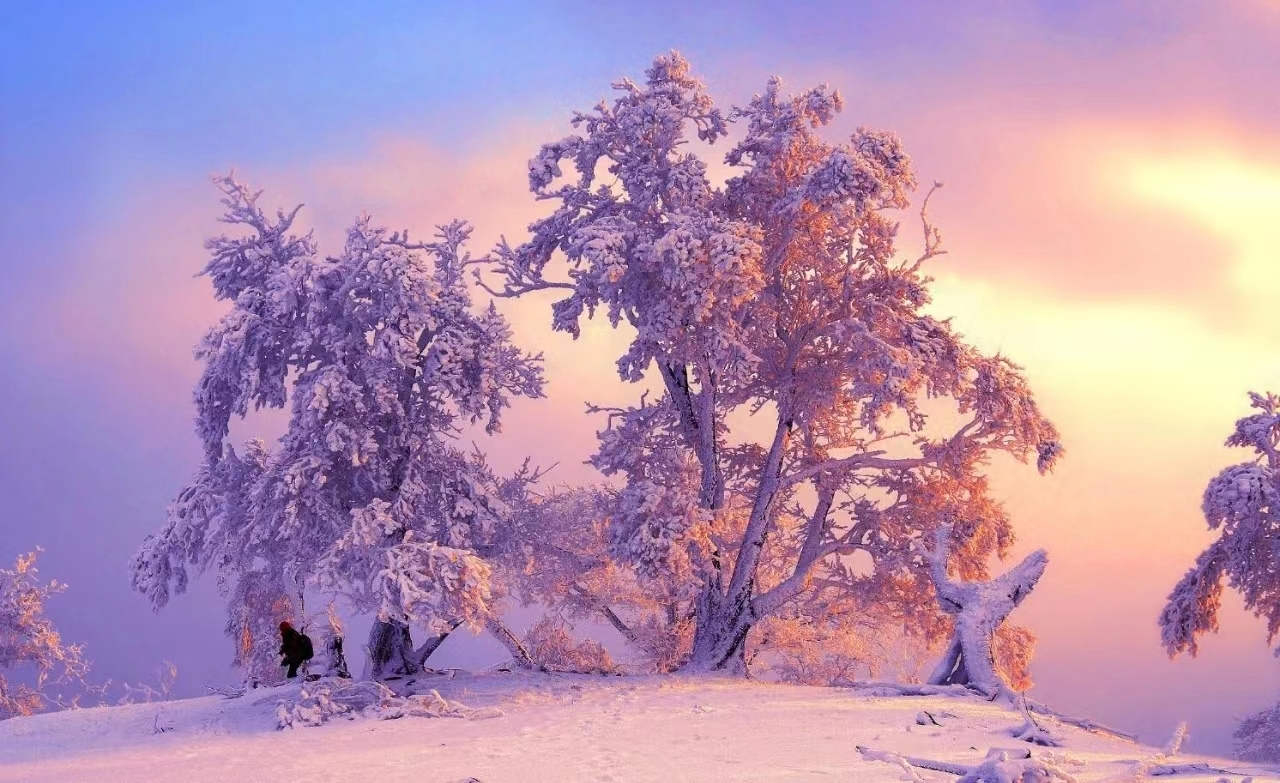 吉林?jǐn)y「冰雪年味」南下  向長(zhǎng)沙人發(fā)出「吉地過年」邀約