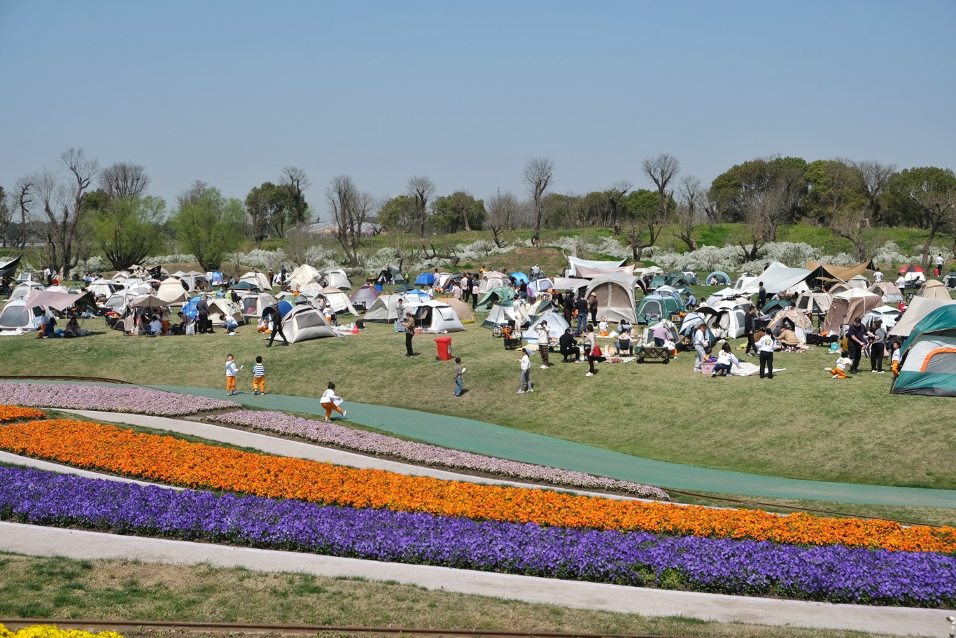 圖3：通州區(qū)開沙島洲際夢幻島大草坪已成為人氣爆棚的春日踏青露營地。.jpeg